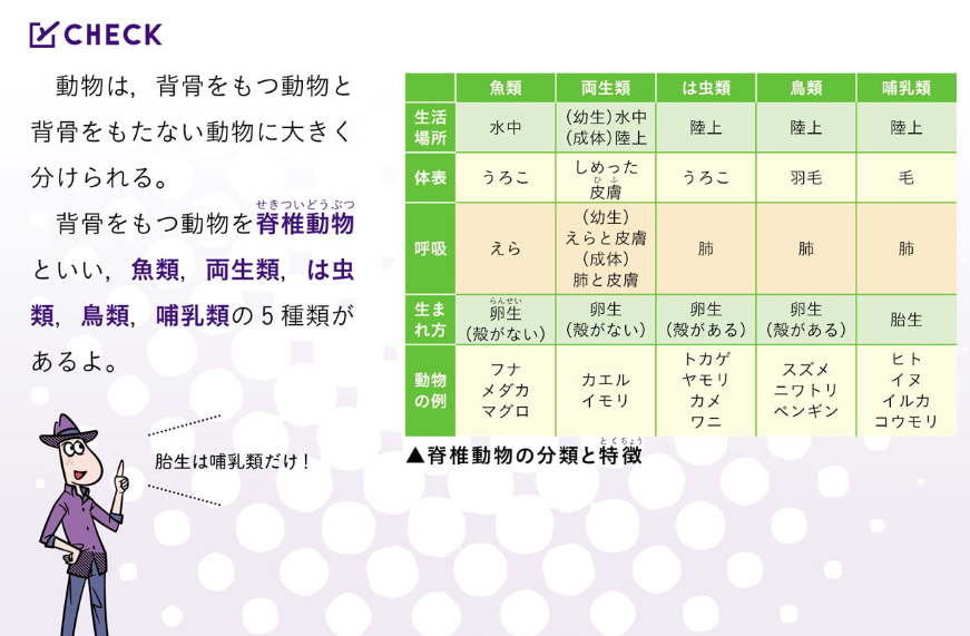 学習資料の図解