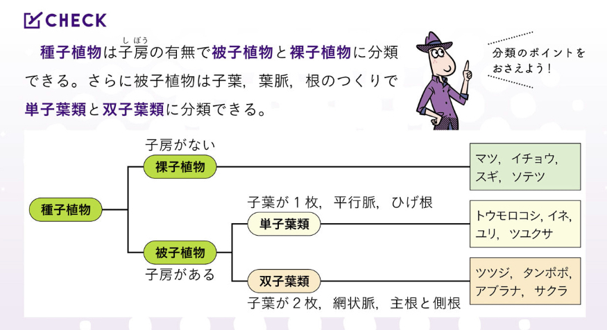 学習資料の図解